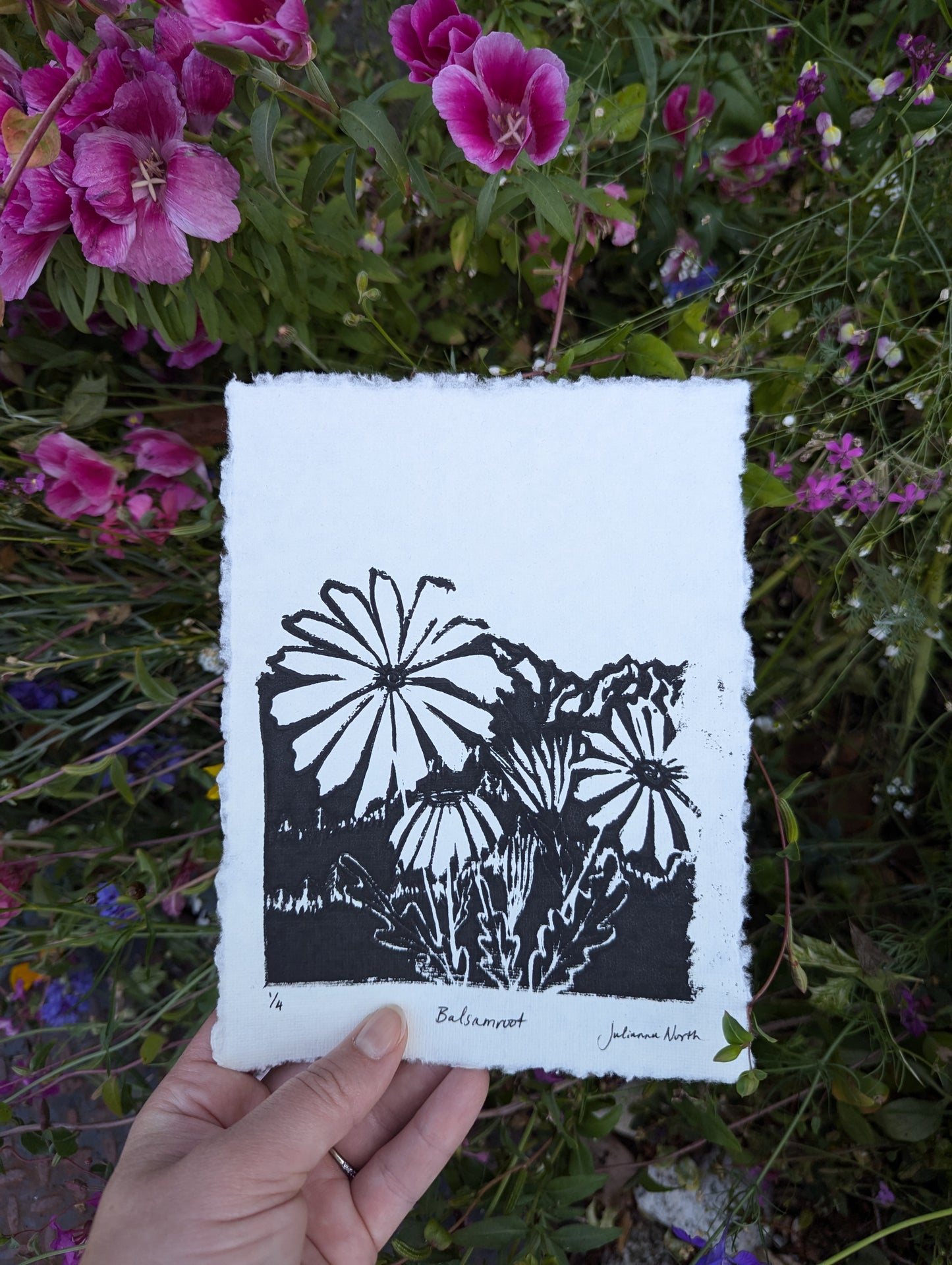 Lino Print | balsamroot